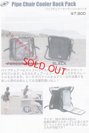 画像3: 【Destination】DS Pipe Chair Cooler Back Pack（２色）
