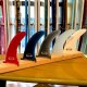 【ドナルドタカヤマ　デザイン】DT FIN:DT  8 1/4" :５色