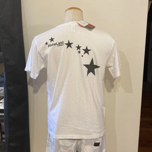 画像5: 【SALE】ALOHALAND TEE-White ( 2size. M,L)