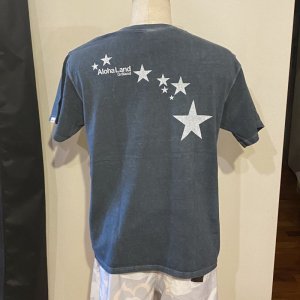 画像5: 【SALE】AL MOANA tee -P.slate ( 2size. M,L)