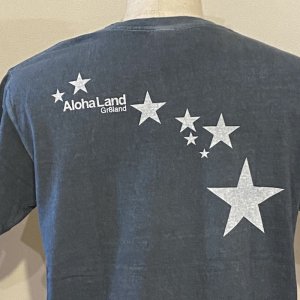 画像6: 【SALE】AL MOANA tee -P.slate ( 2size. M,L)