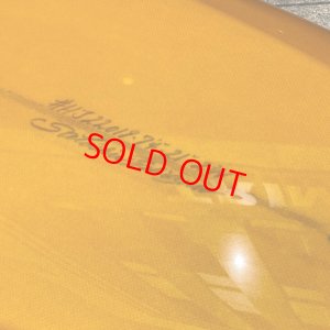 画像7: 【条件付送料無料】DT EGG 7'4"/All AmberTint