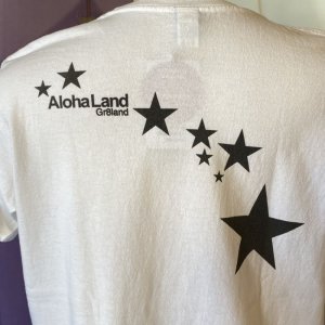 画像6: 【SALE】GREATLAND 19GR8LAND tee-WHITE,SLATE( 2size.L,XL)