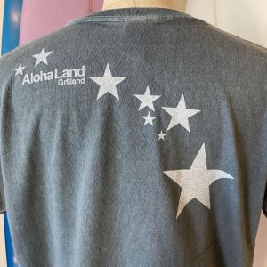 画像11: 【SALE】GREATLAND 19GR8LAND tee-WHITE,SLATE( 2size.L,XL)