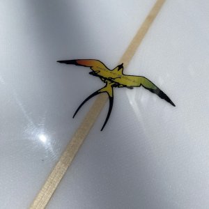 画像11: 【条件付送料無料】HPD MODEL-T2 9'8”ClearVolan