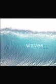 画像1: 【Photo Book】WAVE:STEVE HAWK