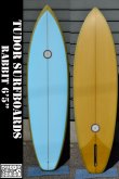 画像1: 【PRICE DOWN20%OFF】Tudor Surfboard 【RABBIT: 6'5"】【条件付送料無料】