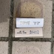 画像5: 【Bubble Gum Surf Wax】  Log Wax by CJ Nelson(2TYPE WAX)